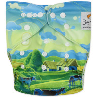 Reusable diaper with insert