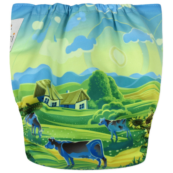 Reusable diaper with insert