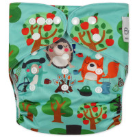 Reusable diaper with insert