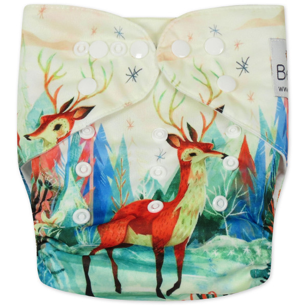Reusable diaper with insert