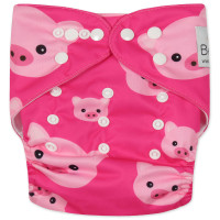 Reusable diaper with insert
