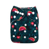 Reusable diaper with insert