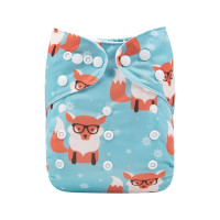 Reusable diaper with insert