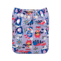 Reusable diaper with insert