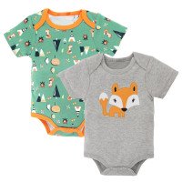 Body for a boy fox