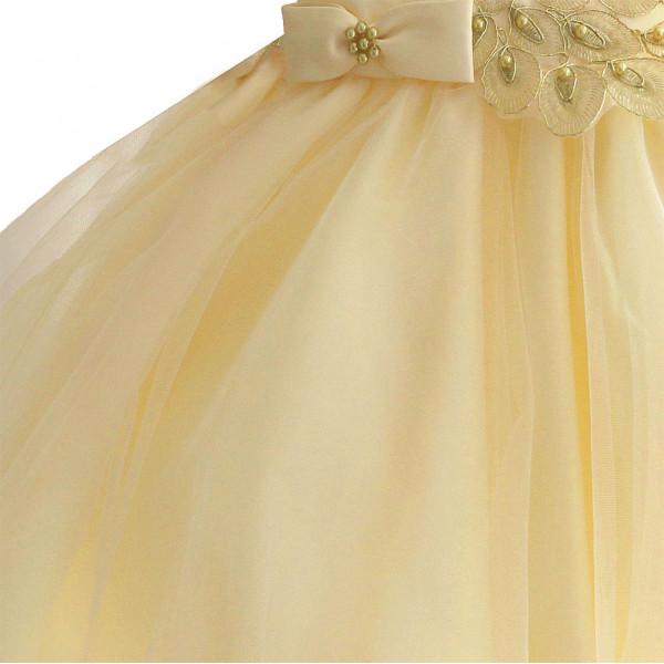 Dress for a girl Golden Peacock