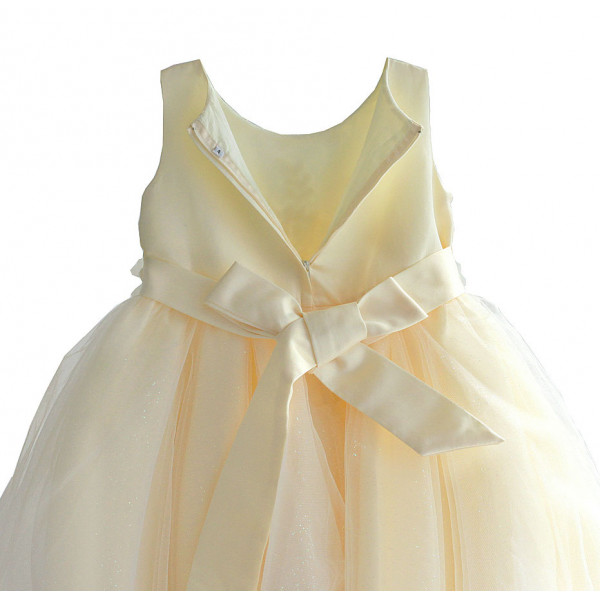 Dress for a girl Golden Peacock