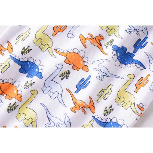 Children's body The story of a dinosaur 5 pcs.