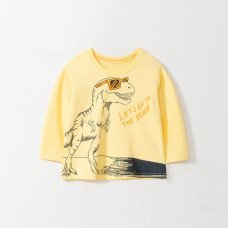 Лонгслів для хлопчика Fashion Rex