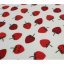 Strawberry flannel diaper