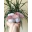 Angel socks (pink)