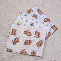 Fairy tale diaper (assortment changes)
