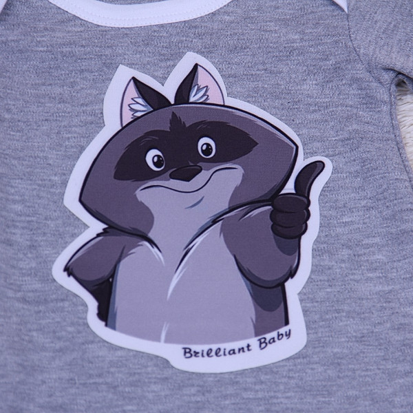 Raccoon bodysuit (grey)