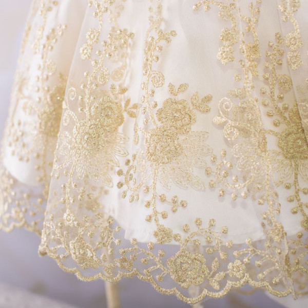 Melania's elegant dress