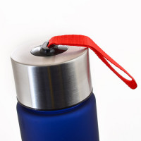 Harvard 500 ml water bottle