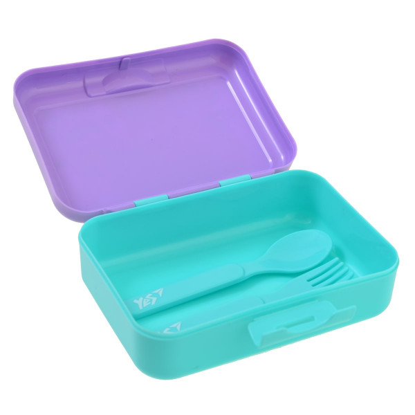 Frozen food container 450 ml with spoon and fork