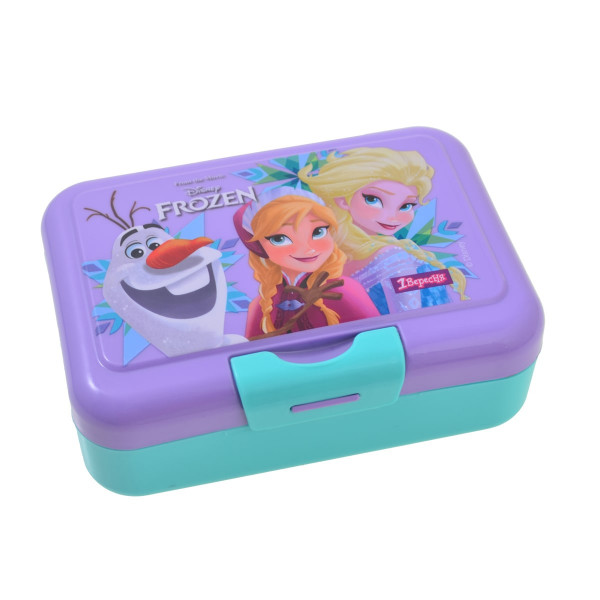 Frozen food container 450 ml with spoon and fork